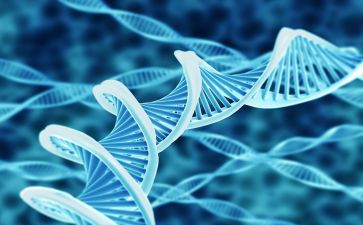 生物老师个人工作总结8篇