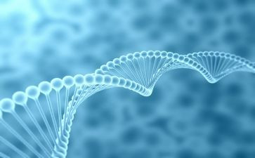 生物老师个人工作总结优秀5篇