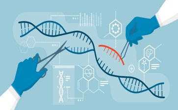 初一的生物调查报告6篇