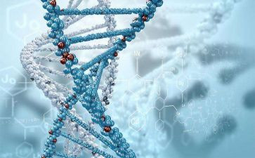 学生物心得体会优质6篇
