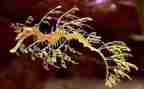 高二下学期生物组工作总结5篇