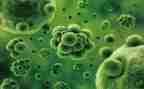 生物教师工作总结个人2023推荐5篇