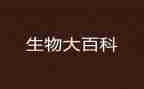 生物教学工作总结个人2023优秀6篇