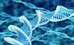 生物老师个人工作总结8篇