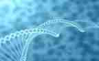 教师工作计划个人2023高中生物8篇