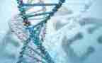 学生物心得体会优质6篇