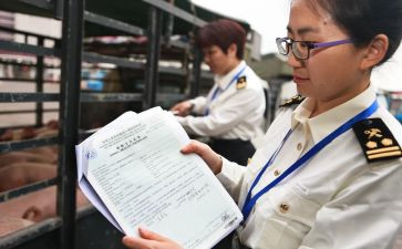 报关实训的心得体会5篇