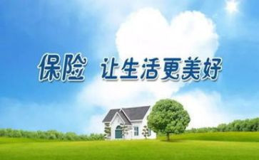 保险的营销心得体会7篇