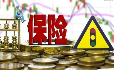 入保险后心得体会5篇