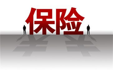 保险员对工作总结模板5篇