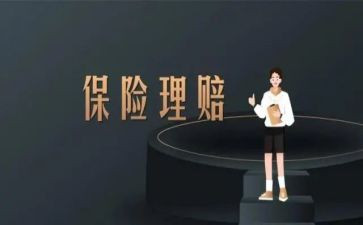 保险公司新工作总结精选5篇