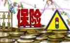 入保险后心得体会5篇