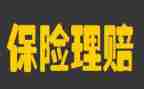 保险所个人述职报告6篇