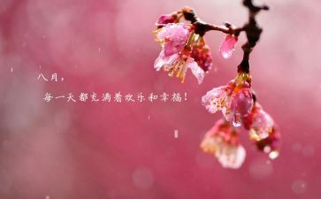 八月份工作总结推荐5篇