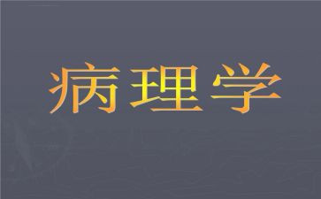 2024年病理科个人总结7篇