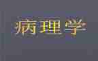 2024年病理科个人总结7篇