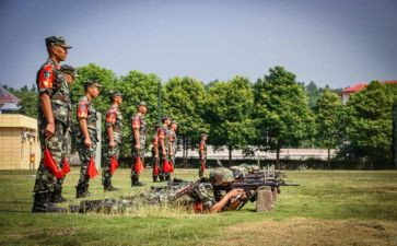 业务比武心得5篇