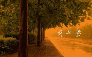 毕业总结表个人总结5篇
