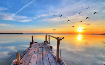 不一样的生活,不一样的我作文通用6篇