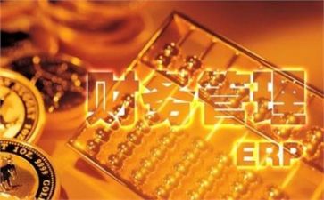 财务的年度工作总结推荐5篇