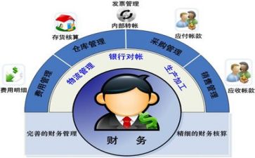 财务会计半年总结范文5篇