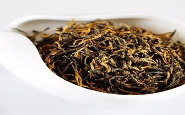 参加茶艺社的心得体会5篇