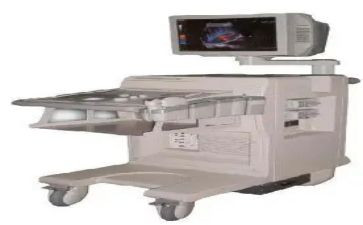 2024超声科主任工作总结7篇