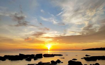 2024朝阳高三期末语文作文范文8篇