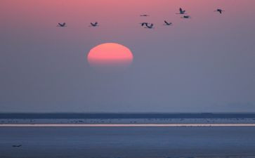 2024朝阳高三语文作文8篇