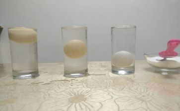 沉浮教案6篇