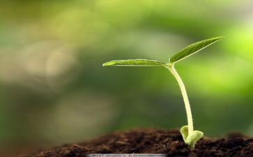 我在成长400字作文通用8篇