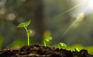 专业成长心得体会模板7篇