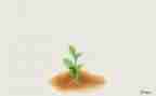 我在成长400字作文8篇