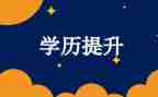 大养成教育心得体会模板8篇
