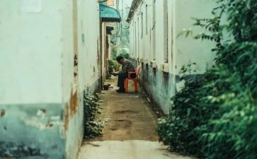 城南旧事读书心得500字7篇