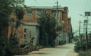 城南旧事读书心得参考8篇