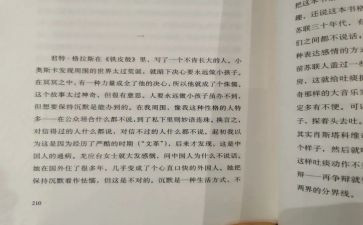 沉默的墙读后感5篇