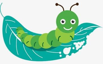 昆虫记的读书心得体会7篇