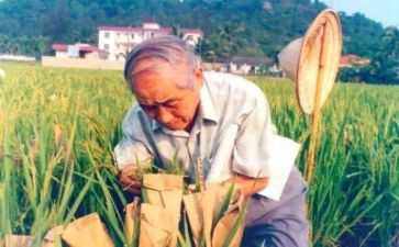 川农培训心得体会参考5篇