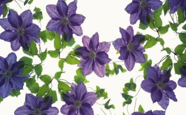 出彩初中作文8篇