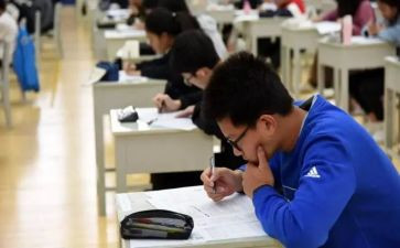 干初级工作总结7篇
