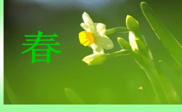 春季大班教案优秀8篇
