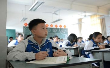 初中生物组工作总结最新7篇