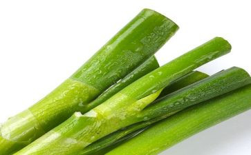 葱和蒜教案7篇