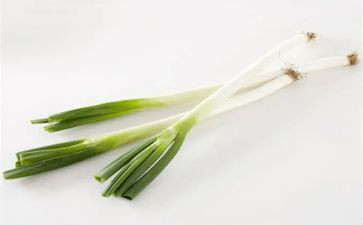 大班科学葱和蒜教案5篇