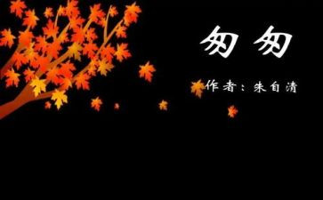 匆匆的读后感7篇