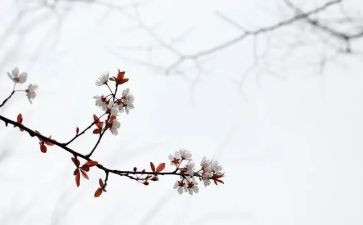 匆匆读后感400字6篇