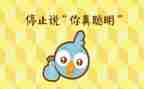 大班语言聪明的小乌龟教案通用5篇