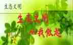 节约能源从我做起演讲稿5篇
