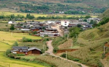 到村工作大学生心得体会优秀8篇